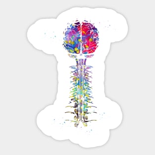Brain and cervical Sticker